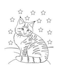 Cat and Stars coloring page