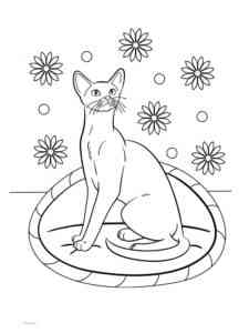 Abyssinian Cat coloring page