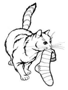 Cat with a sock coloring page
