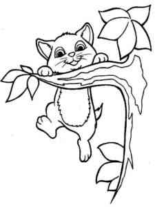 Kitten hanging on a branch coloring page