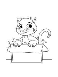 Cat in box coloring page