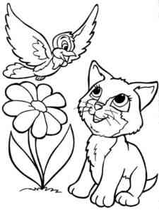 Cat and Bird coloring page