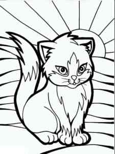 Cat and Sun coloring page