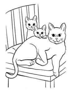 Cats Family on a Chair coloring page