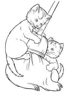 Kittens climbing the broom coloring page