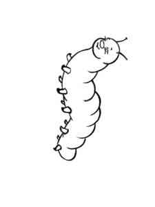 Simple Funny Caterpillar coloring page