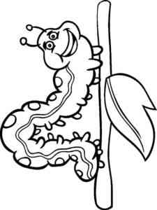 Caterpillar on branch coloring page