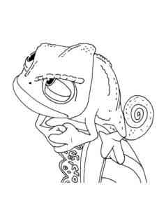 Angry Chameleon coloring page