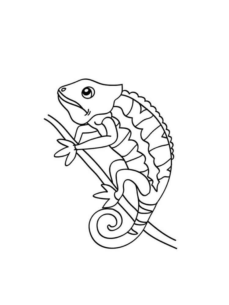 Jacksons Chameleon coloring page