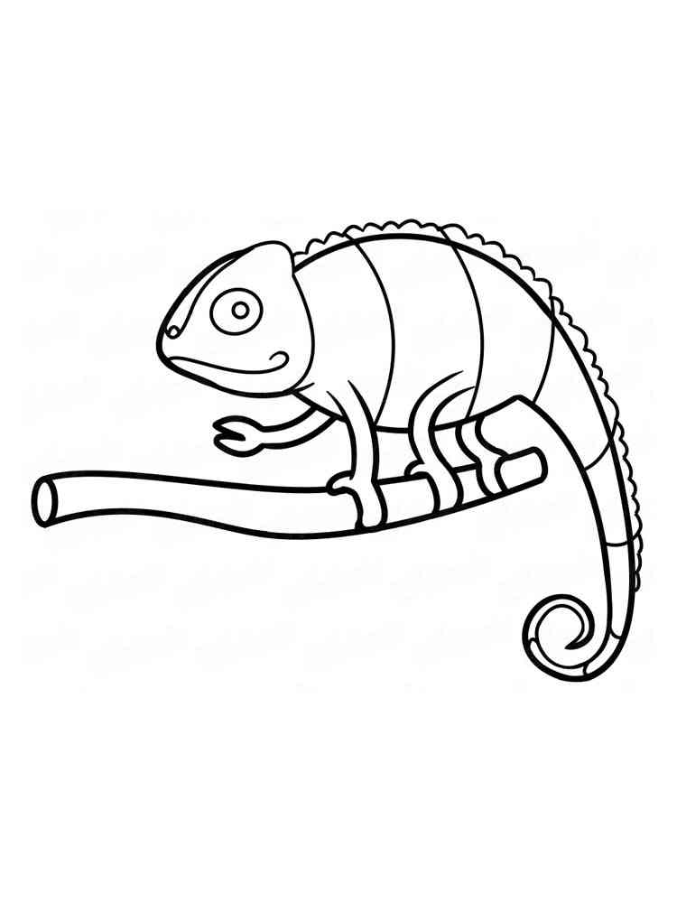 Easy Chameleon on branch coloring page