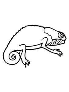 Simple Chameleon coloring page