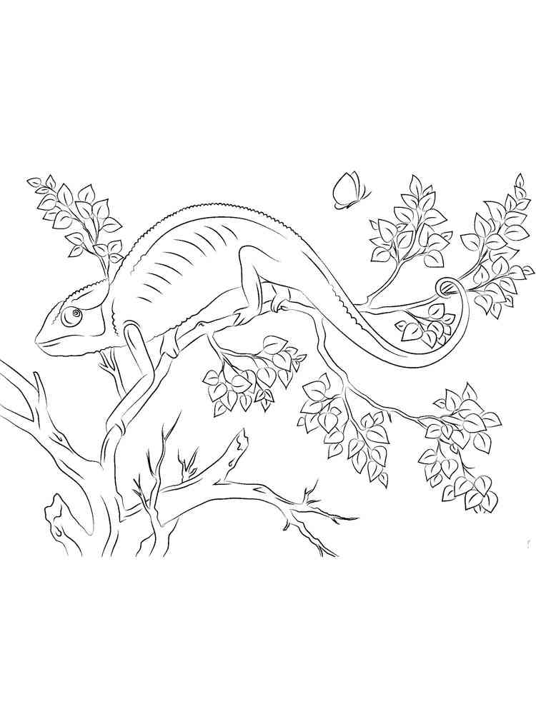 Chameleon on tree coloring page