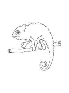Easy Chameleon coloring page