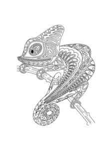 Zentangle Chameleon coloring page