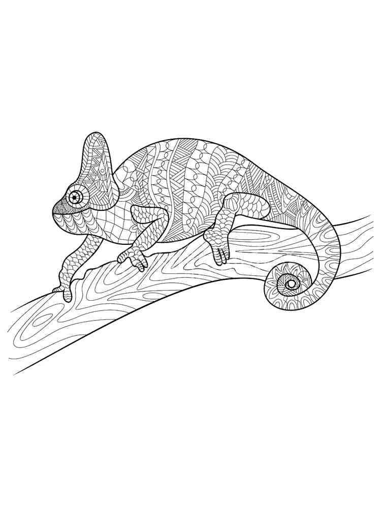 Art Chameleon on branch coloring page