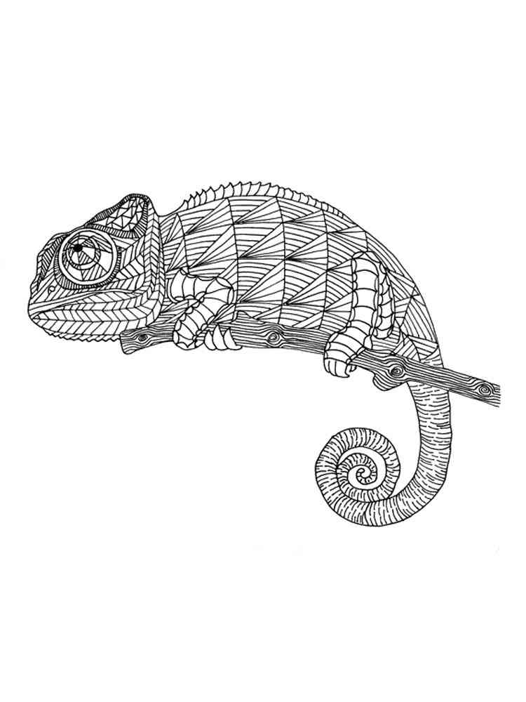Zentangle Chameleon coloring page