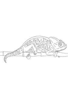 Mellers Chameleon coloring page