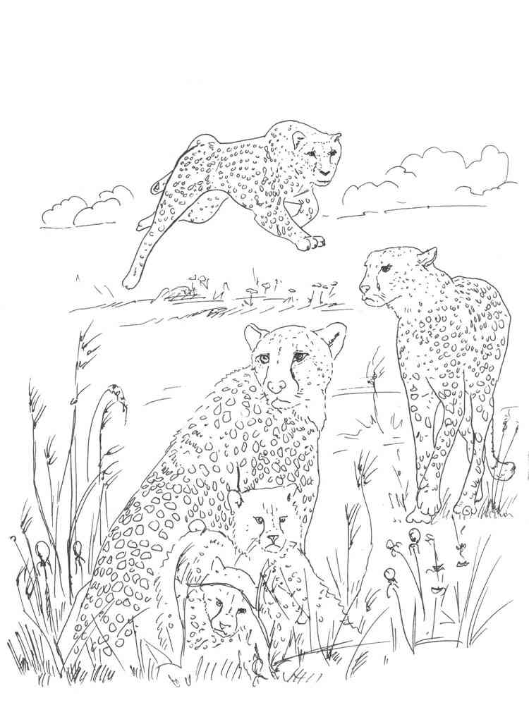 Three Cheetahs coloring page