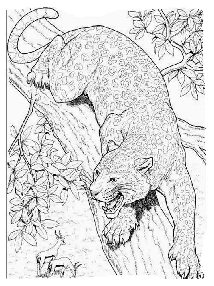 Angry Cheetah coloring page