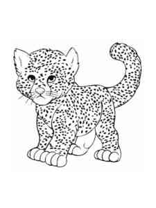 Baby Cheetah coloring page