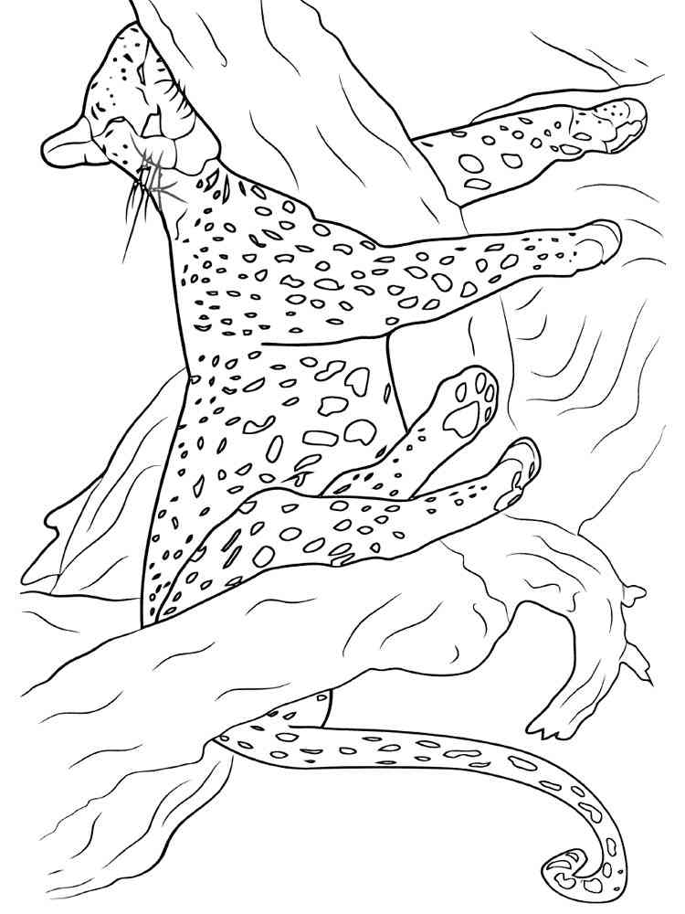 Cheetah lies on the tree coloring page