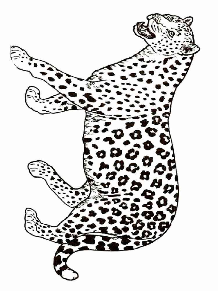 Easy Cheetah coloring page