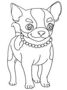 Chihuahua with Necklace coloring page