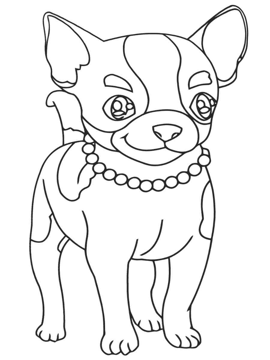 Chihuahua with Necklace coloring page