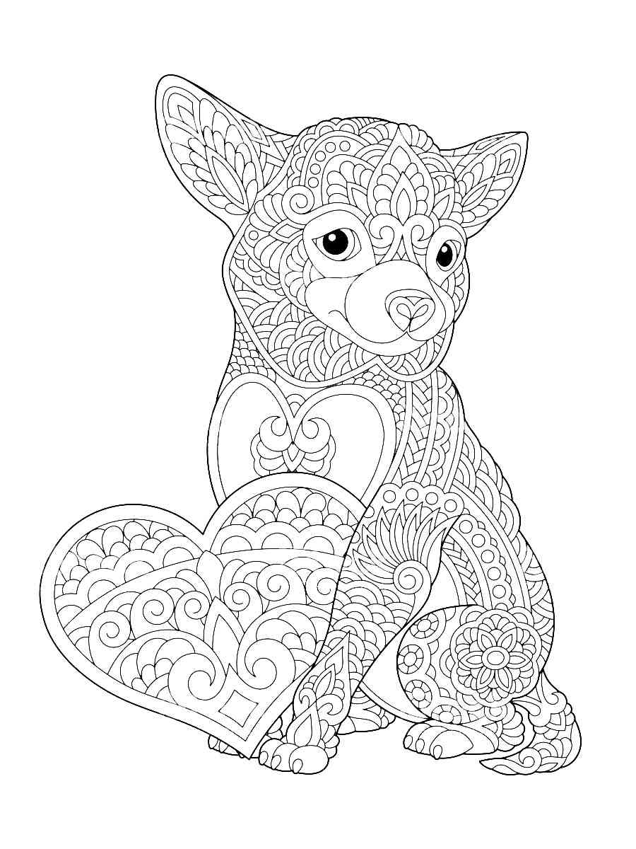 Chihuahua Antistress coloring page