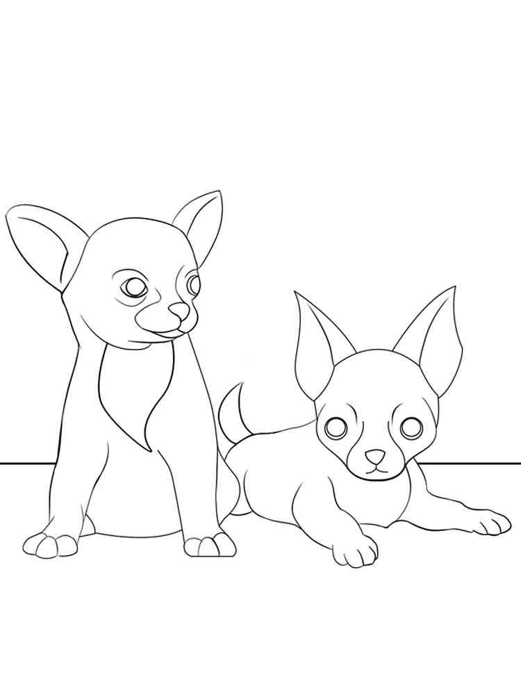 Chihuahua Puppies coloring page