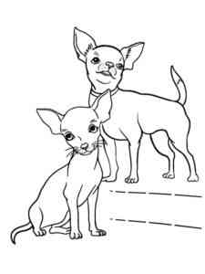 Two Chihuahua coloring page