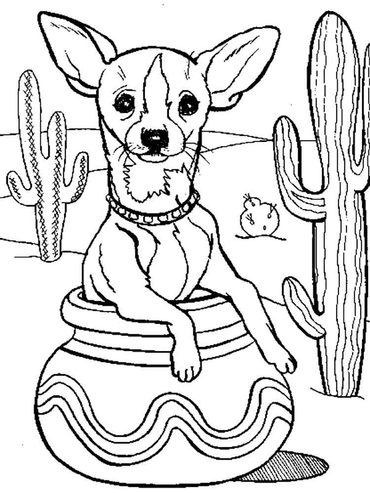 Chihuahua and Cactus coloring page