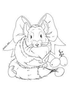 Chinchilla with bow coloring page