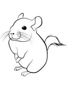 Easy Chinchilla coloring page