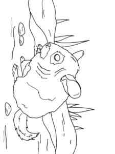 Short Tailed Chinchilla coloring page