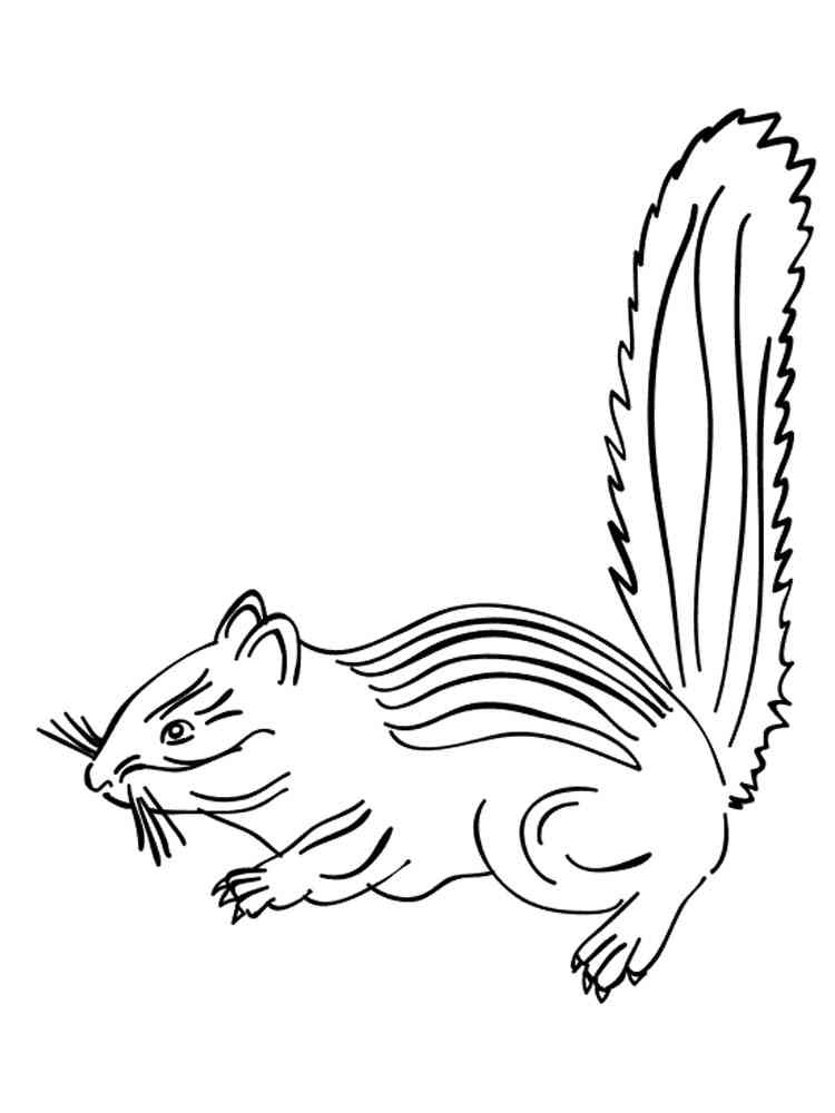 Townsend’s Chipmunk coloring page