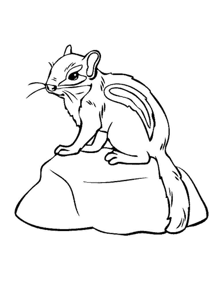 Chipmunk on Stone coloring page