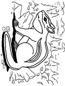 Common Chipmunk coloring page