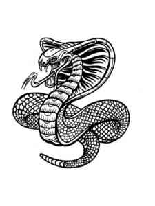 King Cobra Snake coloring page