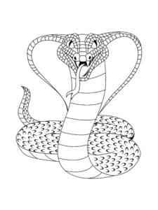 Realistic King Cobra coloring page