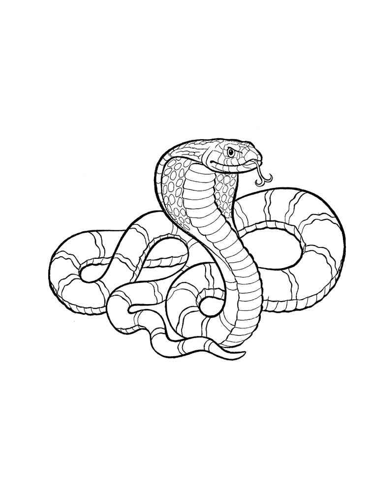 Indian Cobra coloring page