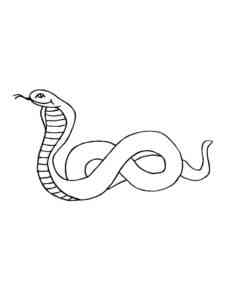 Simple Cobra coloring page