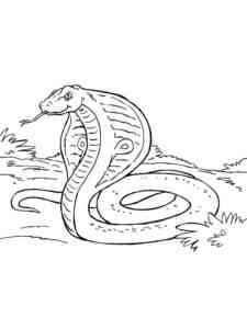 Realistic Cobra coloring page