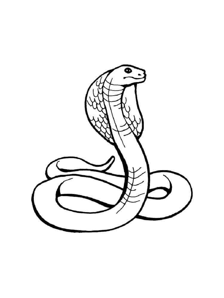 Simple Cobra coloring page