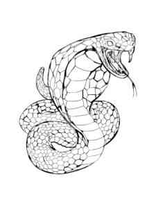 Large Cobra coloring page