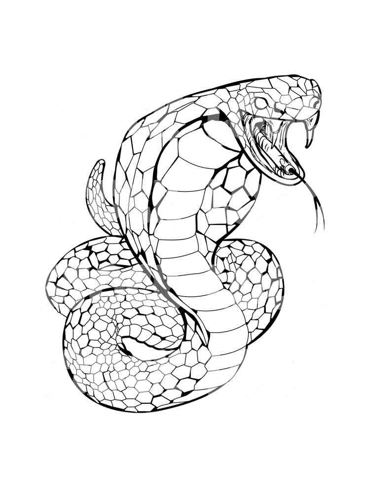 Large Cobra coloring page