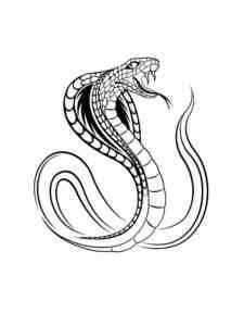 Simple King Cobra coloring page