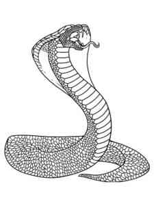 Caspian Cobra coloring page