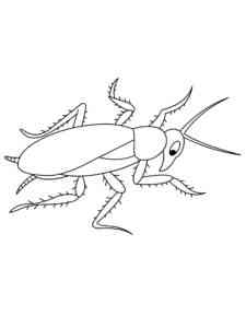 Cartoon Cockroach coloring page
