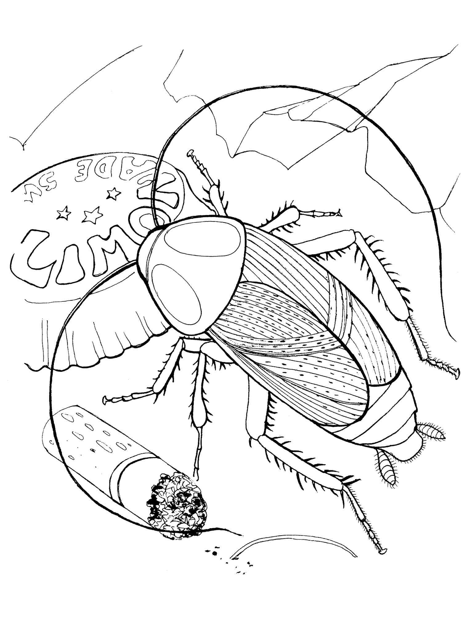 Cockroach in the trash coloring page